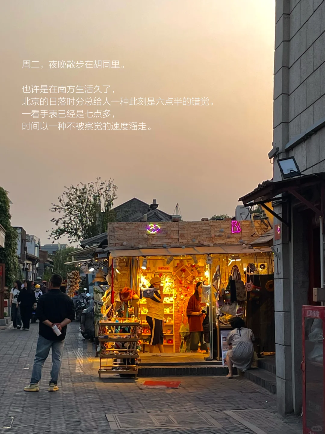 她的一周，散步、读书，一个普通读者的生活。