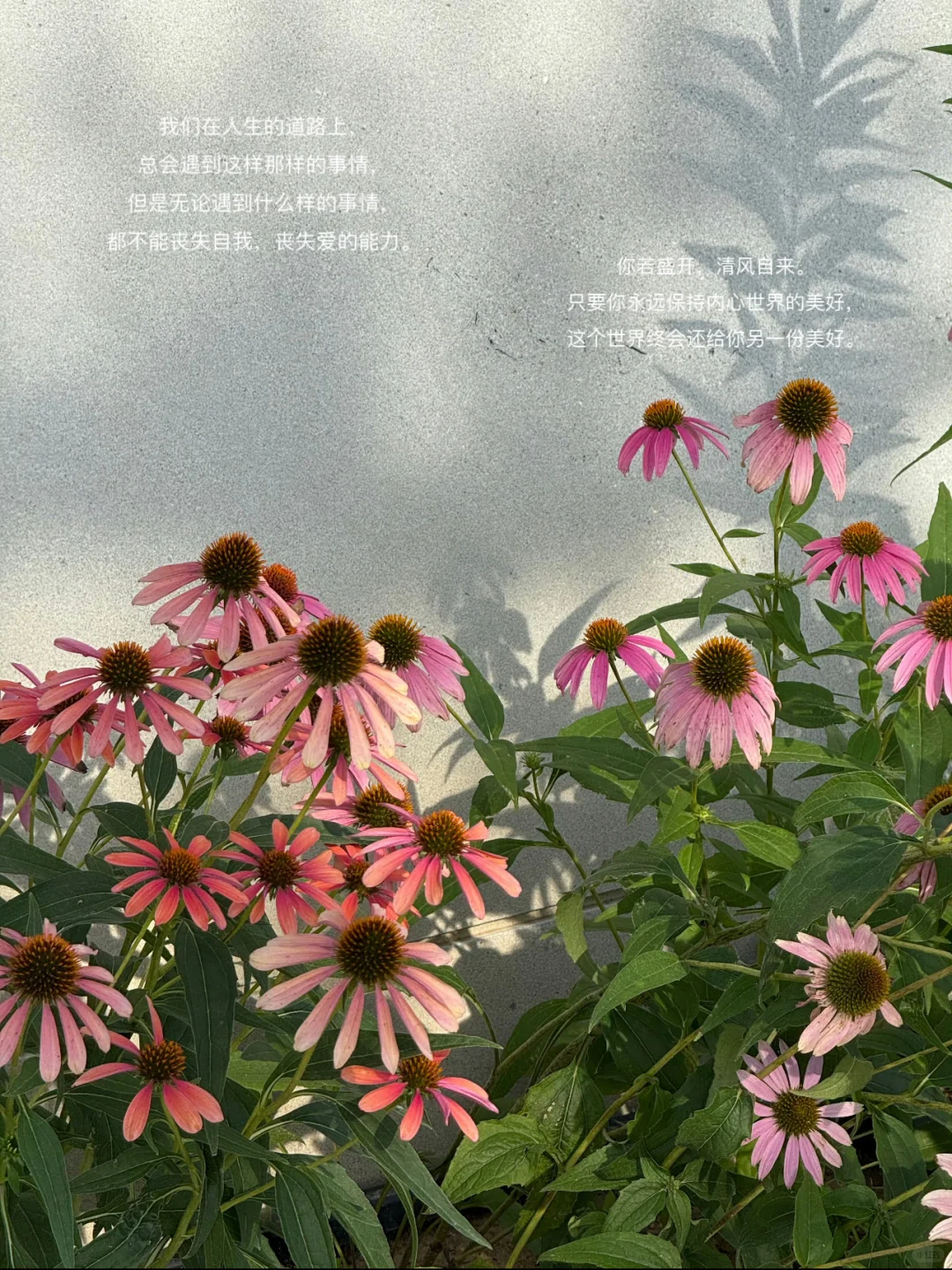 我永远，需要阅读与咖啡☕