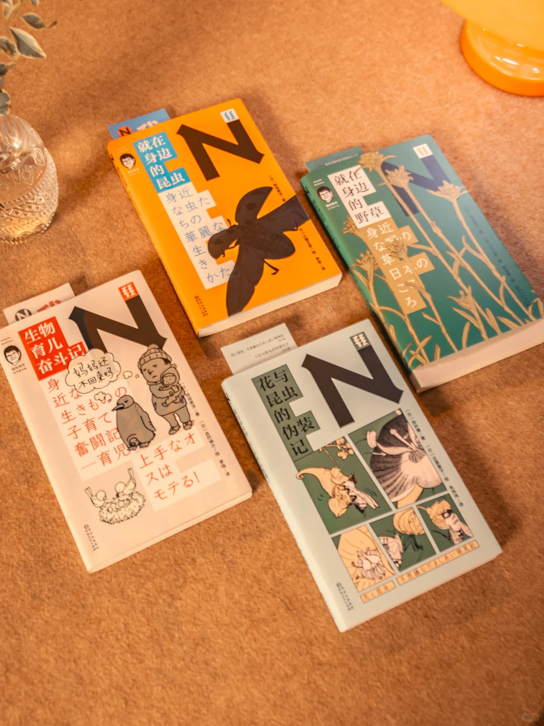 📚书虫的乌托邦✨我的能量恢复角落🛋️