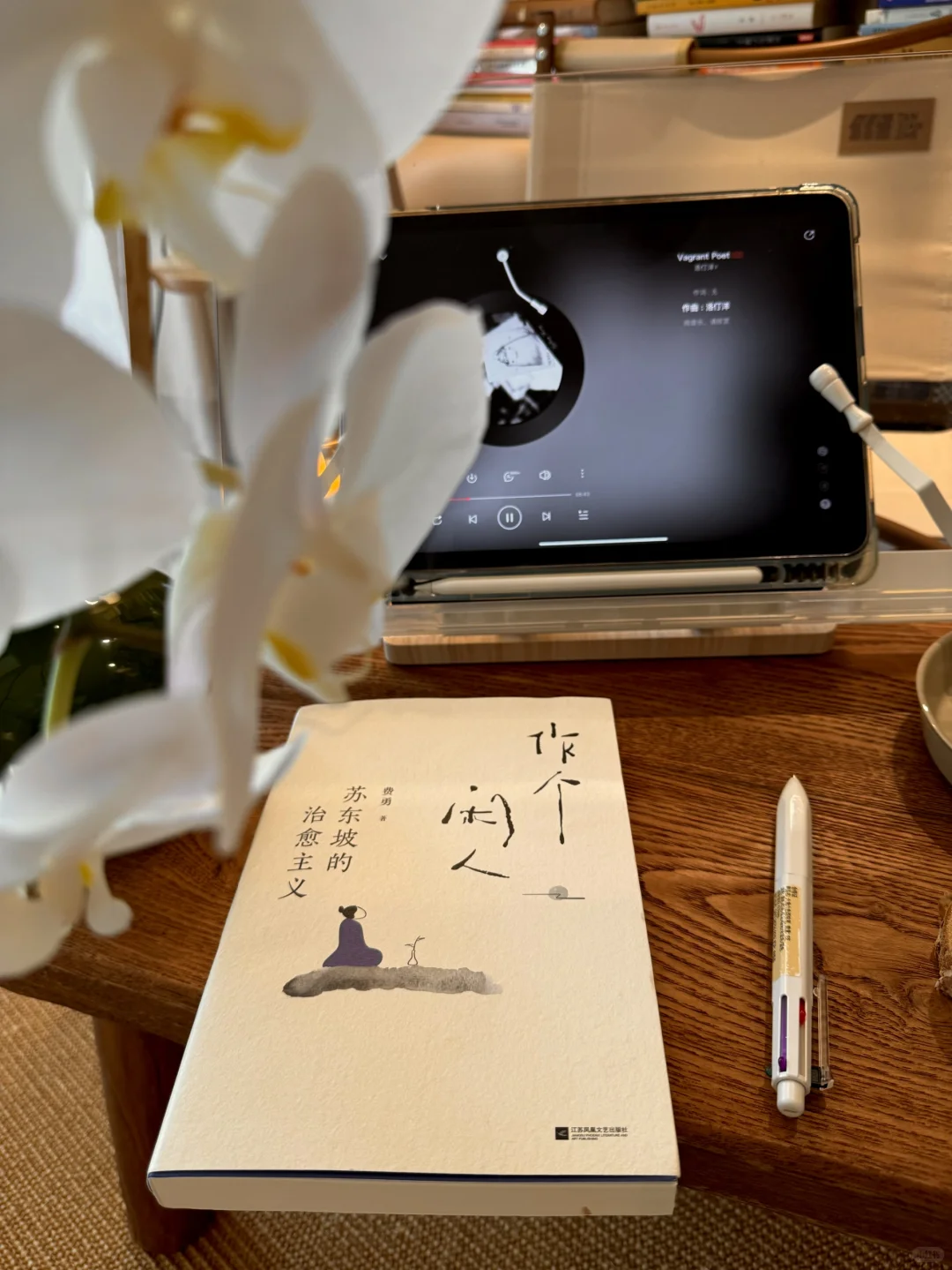 读书|冥想|音乐|喝茶|独处|便是极好的一天