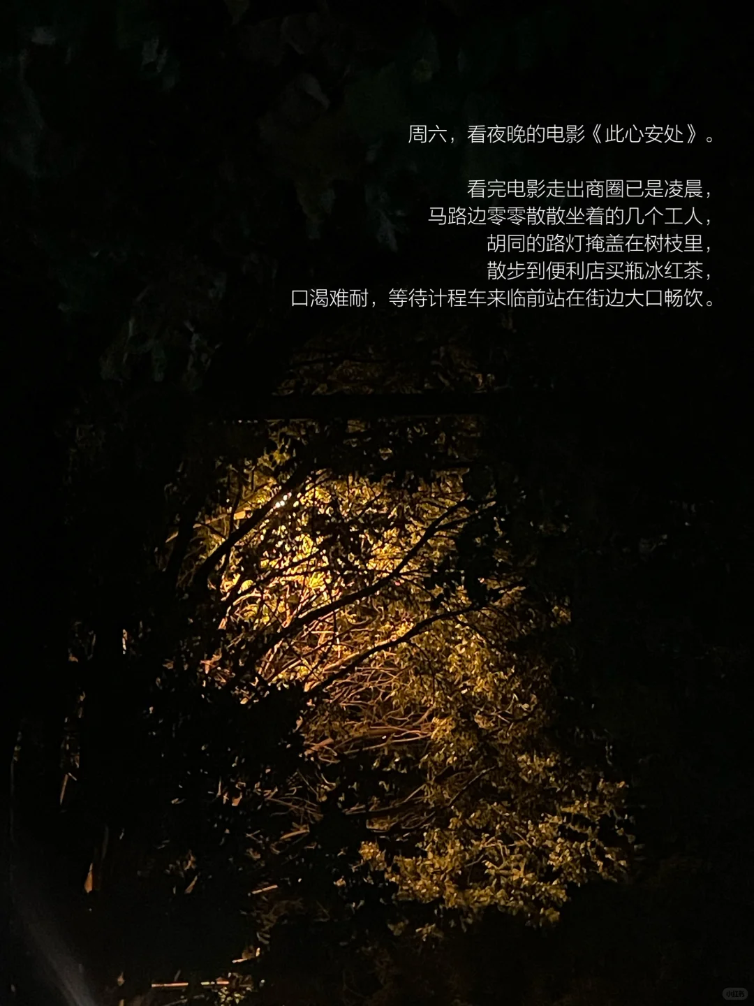 她的一周，散步、读书，一个普通读者的生活。