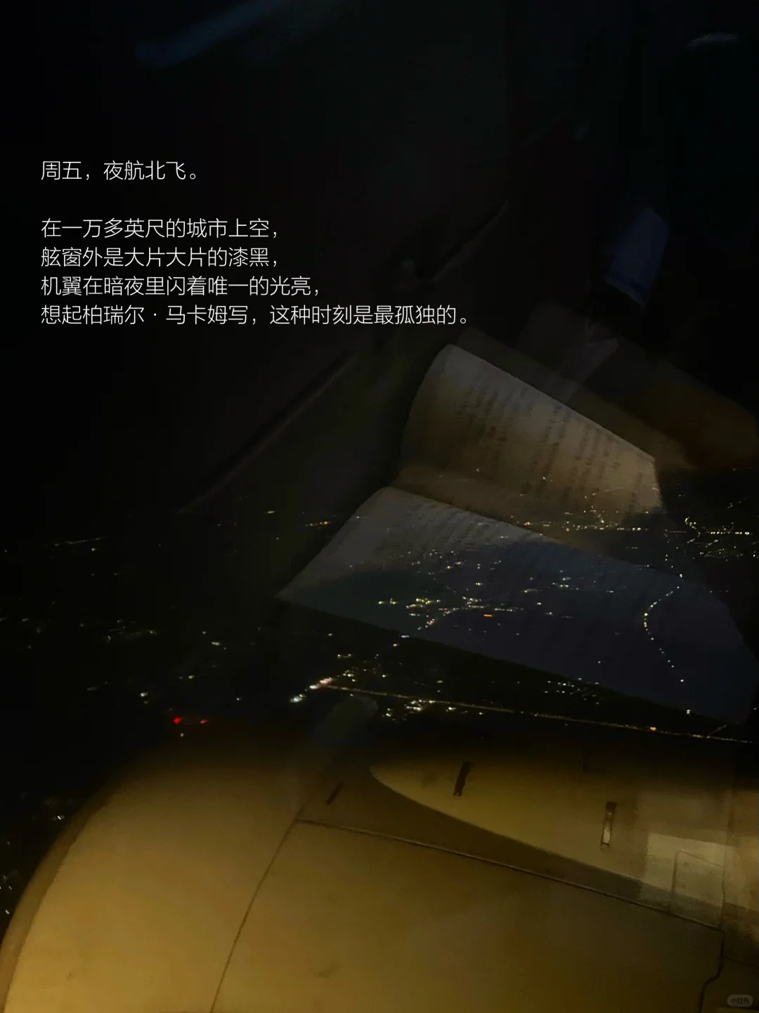 她的一周，散步、读书，一个普通读者的生活。