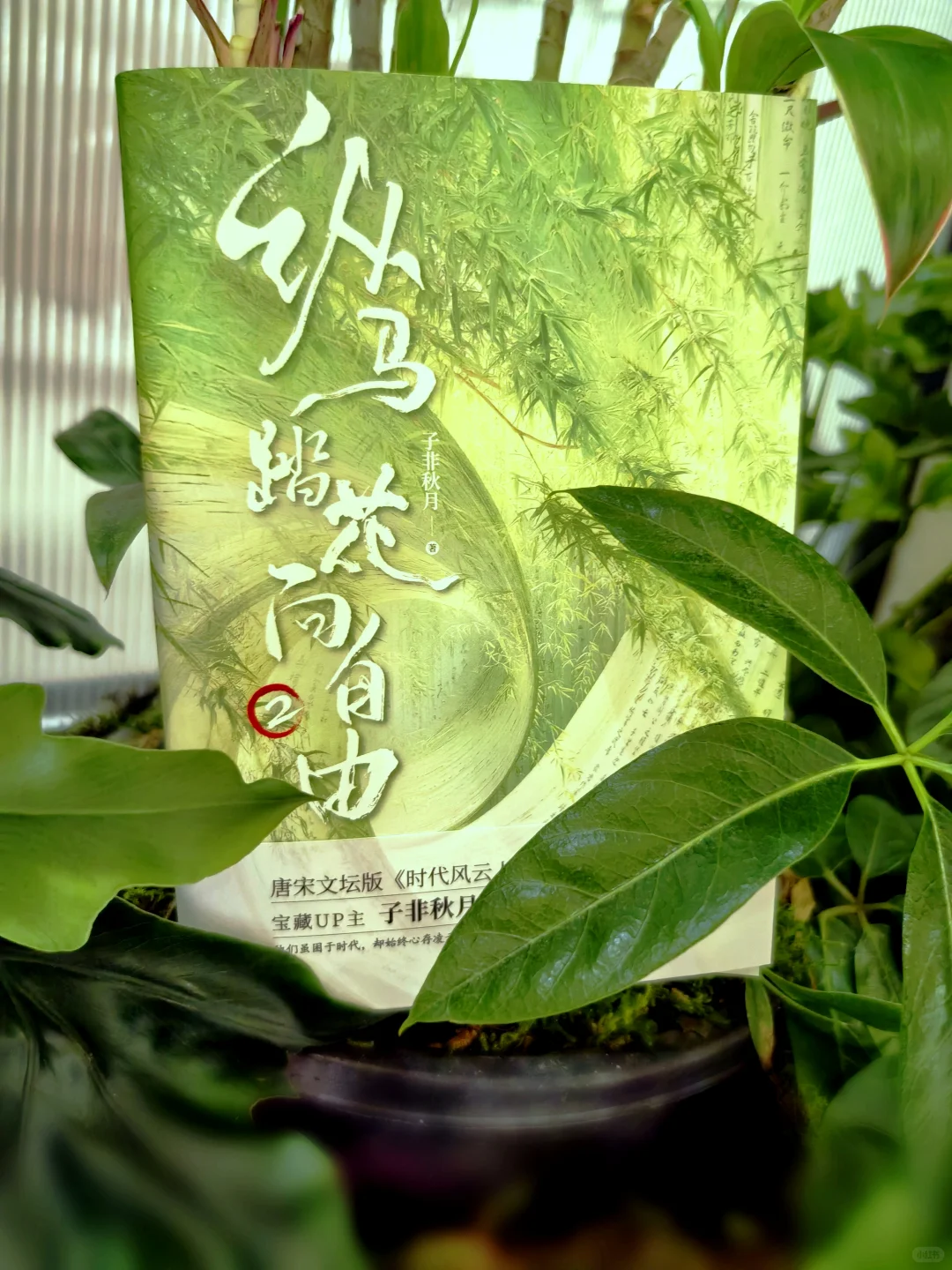 新书马上要出了，预告一下