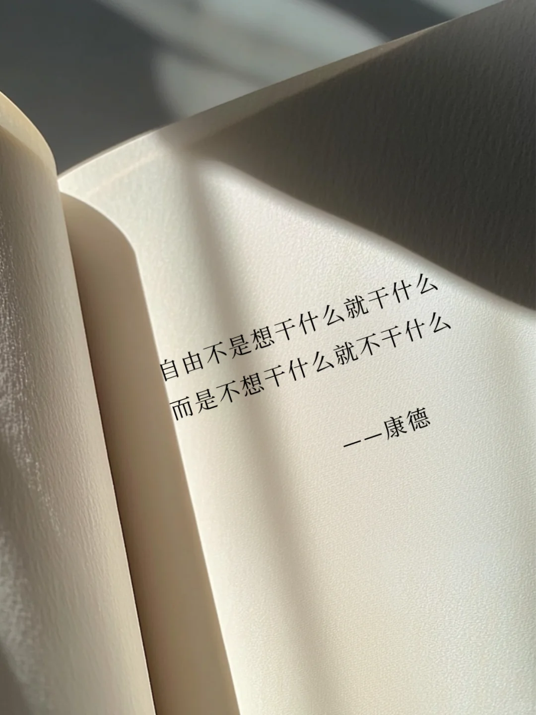 其实康德的有些话，还是非常治愈的‼️