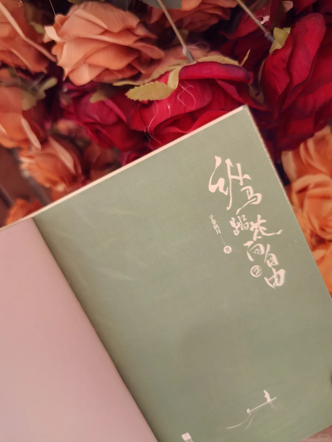 新书马上要出了，预告一下
