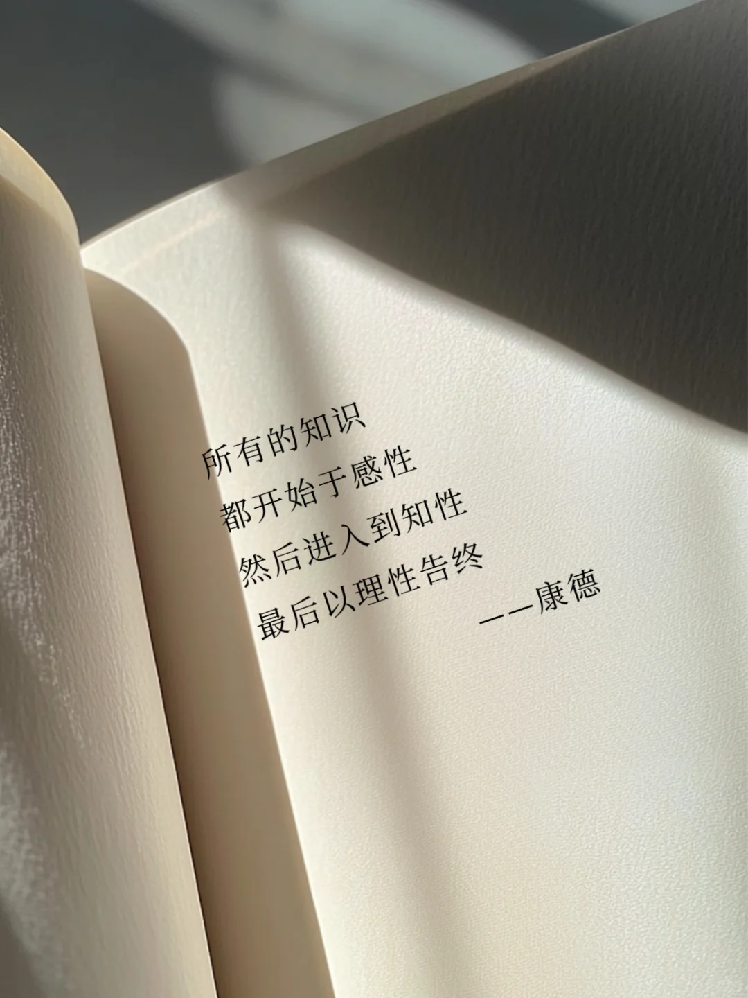 其实康德的有些话，还是非常治愈的‼️