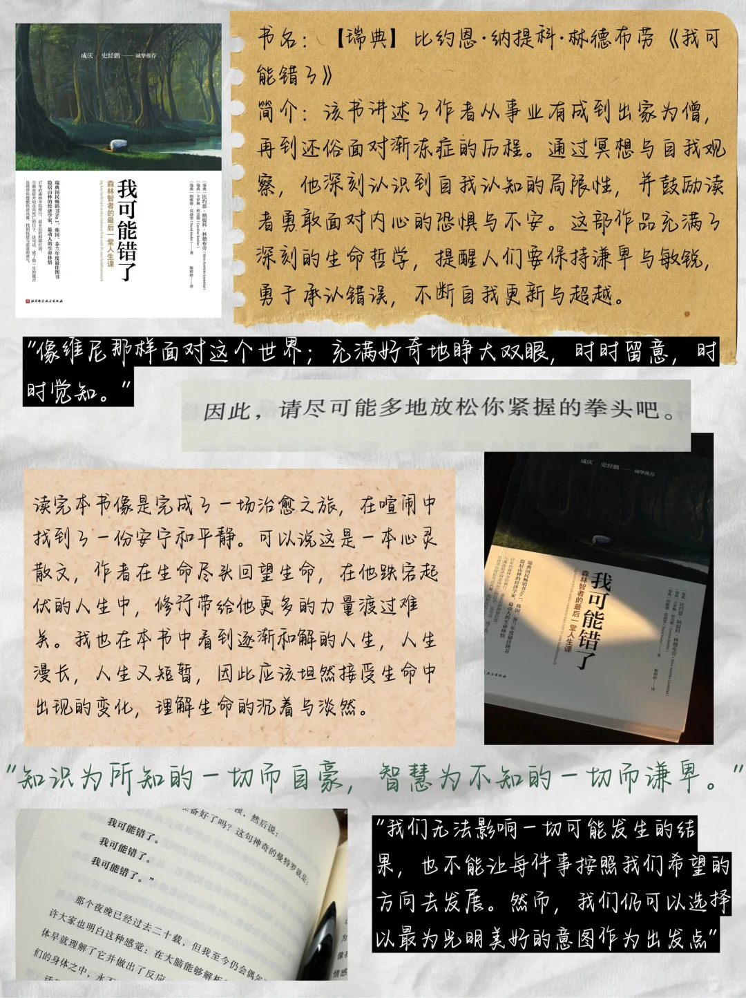 11月书影音🎵关于存在、自我、爱与生命🫧