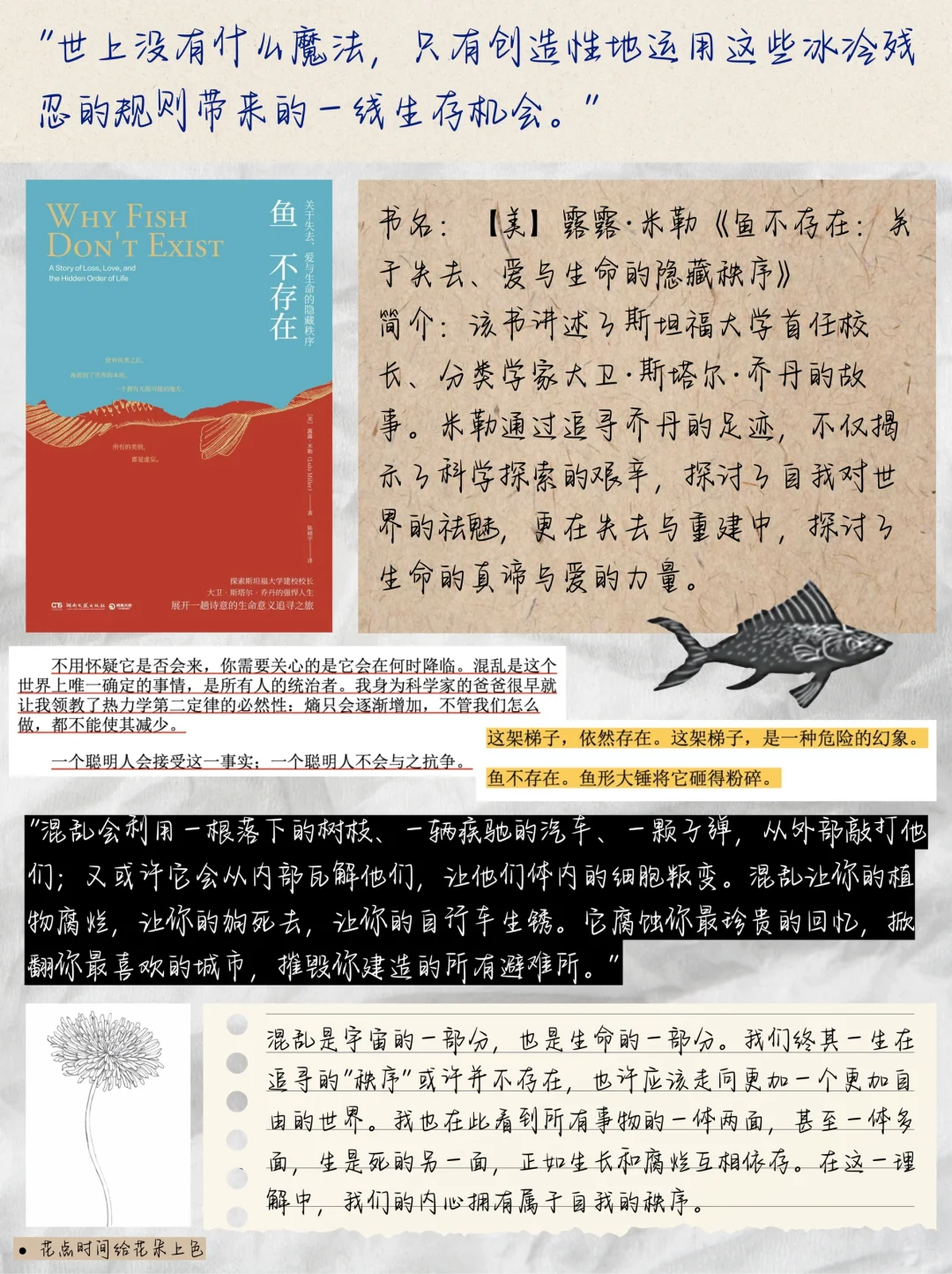 11月书影音🎵关于存在、自我、爱与生命🫧