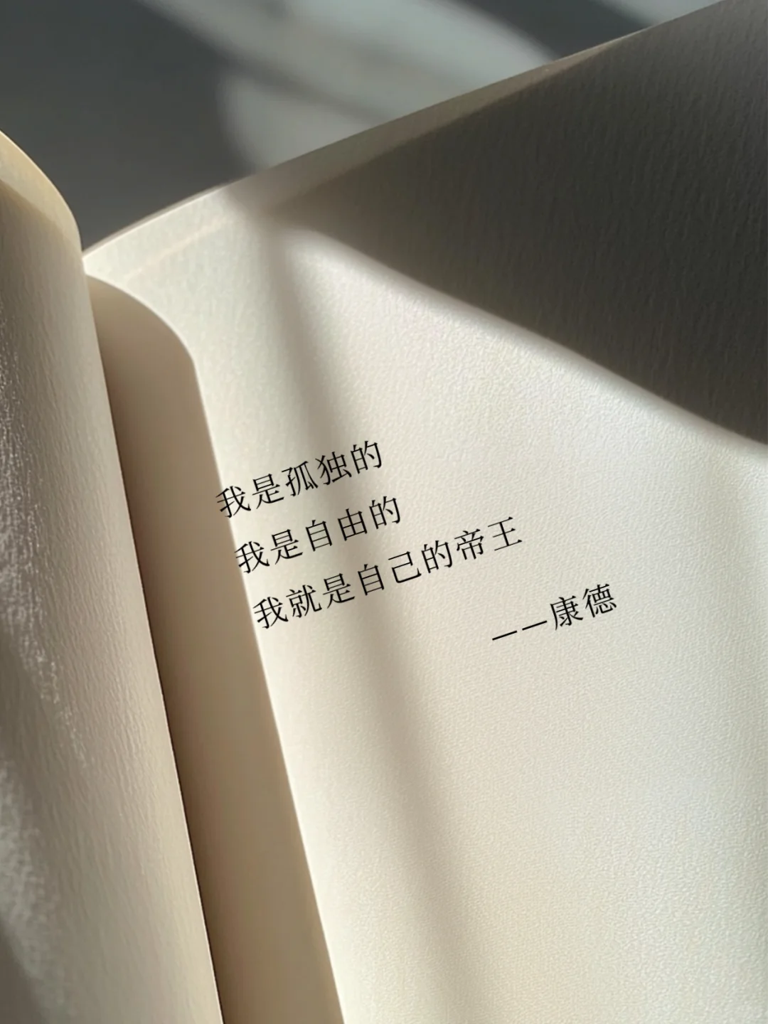 其实康德的有些话，还是非常治愈的‼️