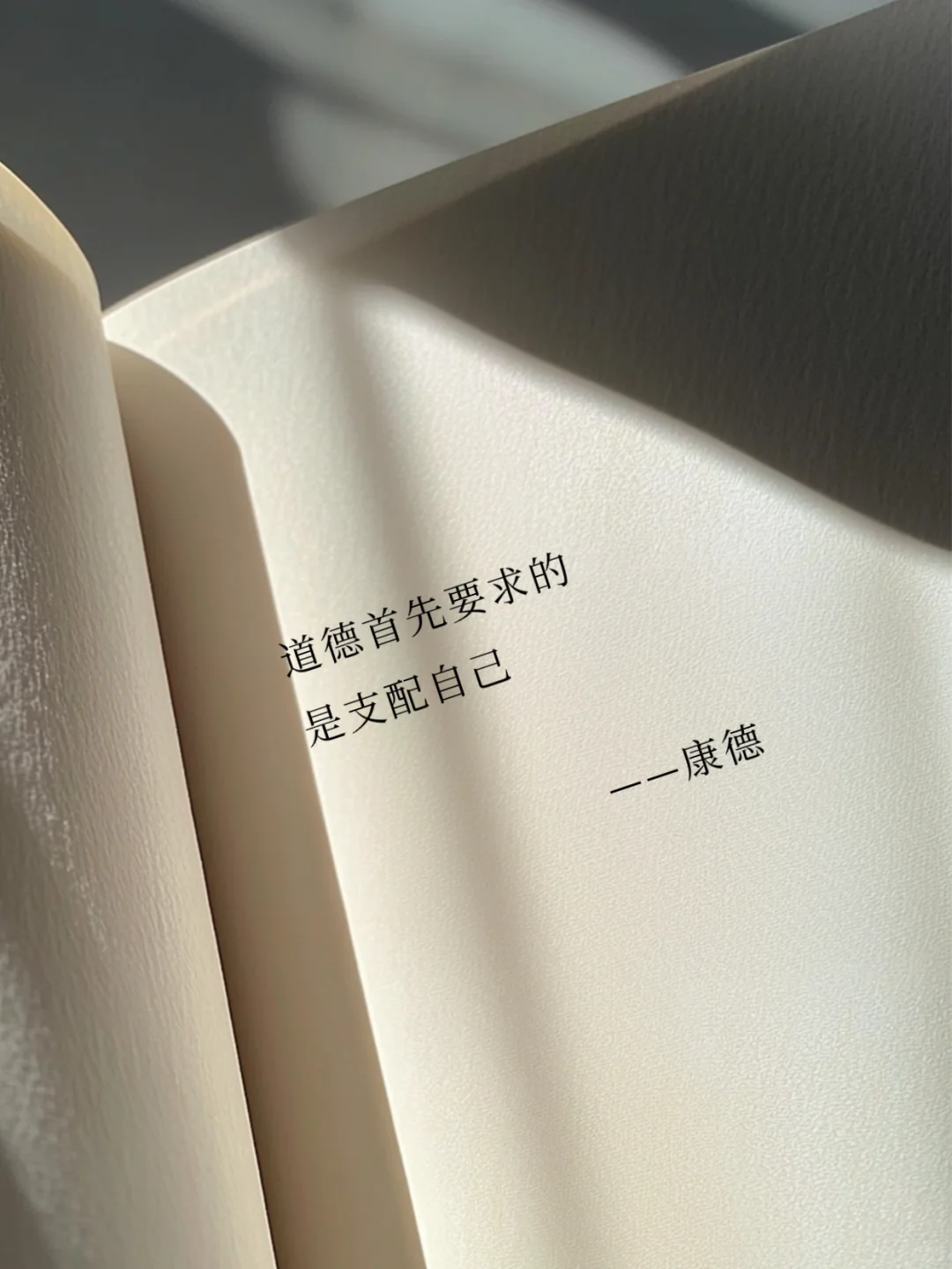 其实康德的有些话，还是非常治愈的‼️