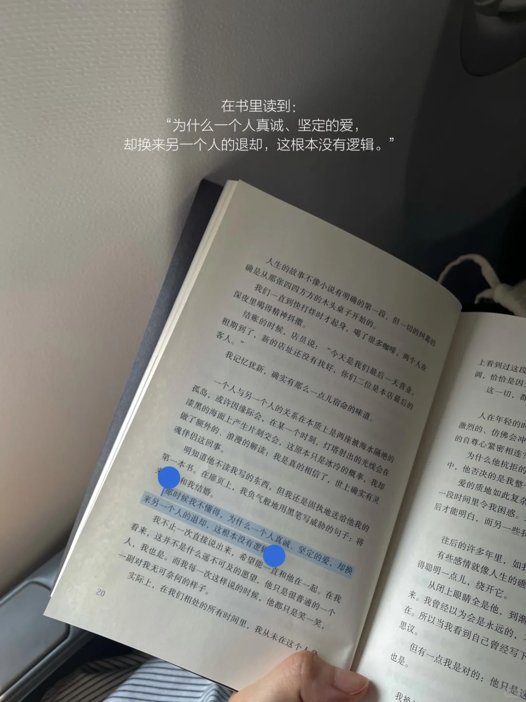 她的一周，散步、读书，一个普通读者的生活。