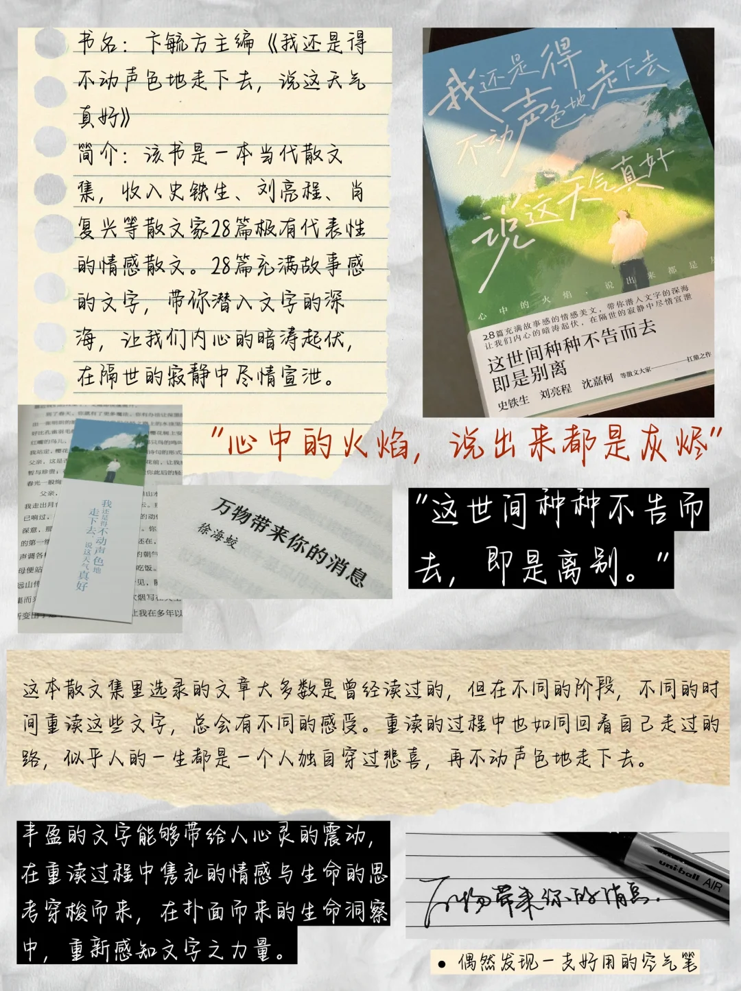 11月书影音🎵关于存在、自我、爱与生命🫧