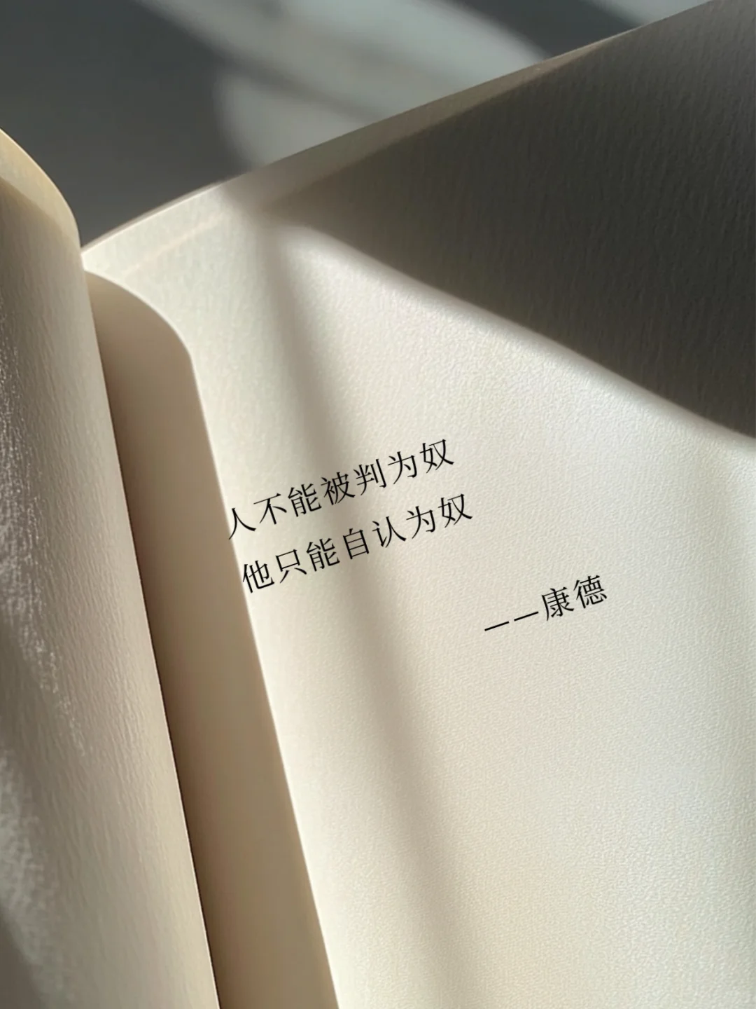 其实康德的有些话，还是非常治愈的‼️