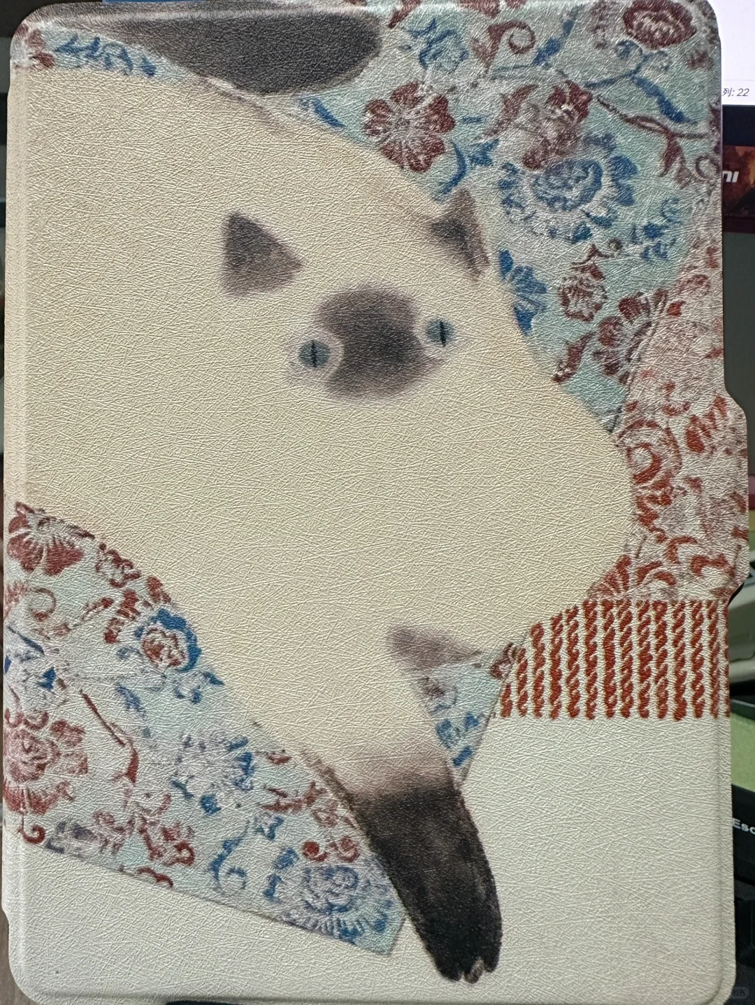 kindle8