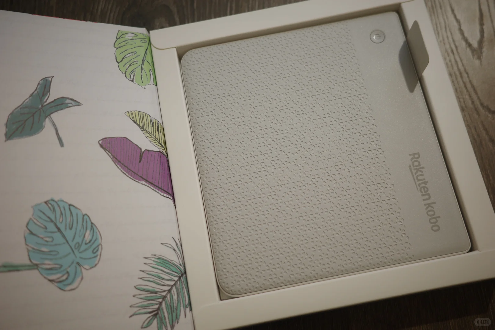 Kindle Oasis 3 v. Kobo Libra Colour