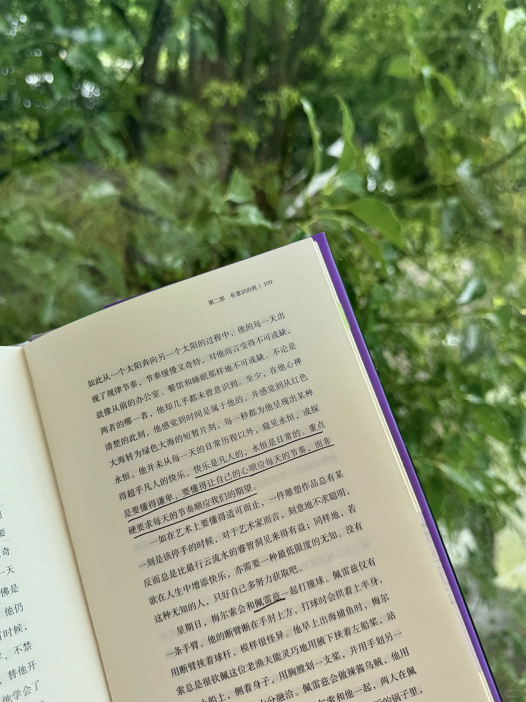 阅读、独处、喝咖 就是我感受生活自由的方式