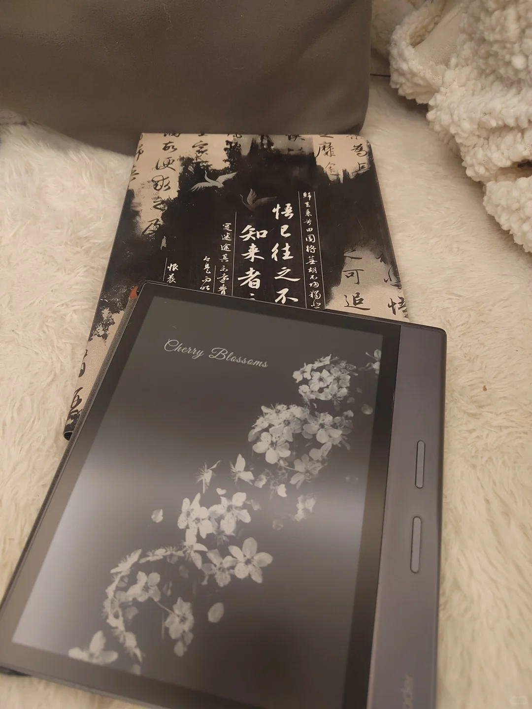 掌阅活动｜给我的阅读器拍几张美照