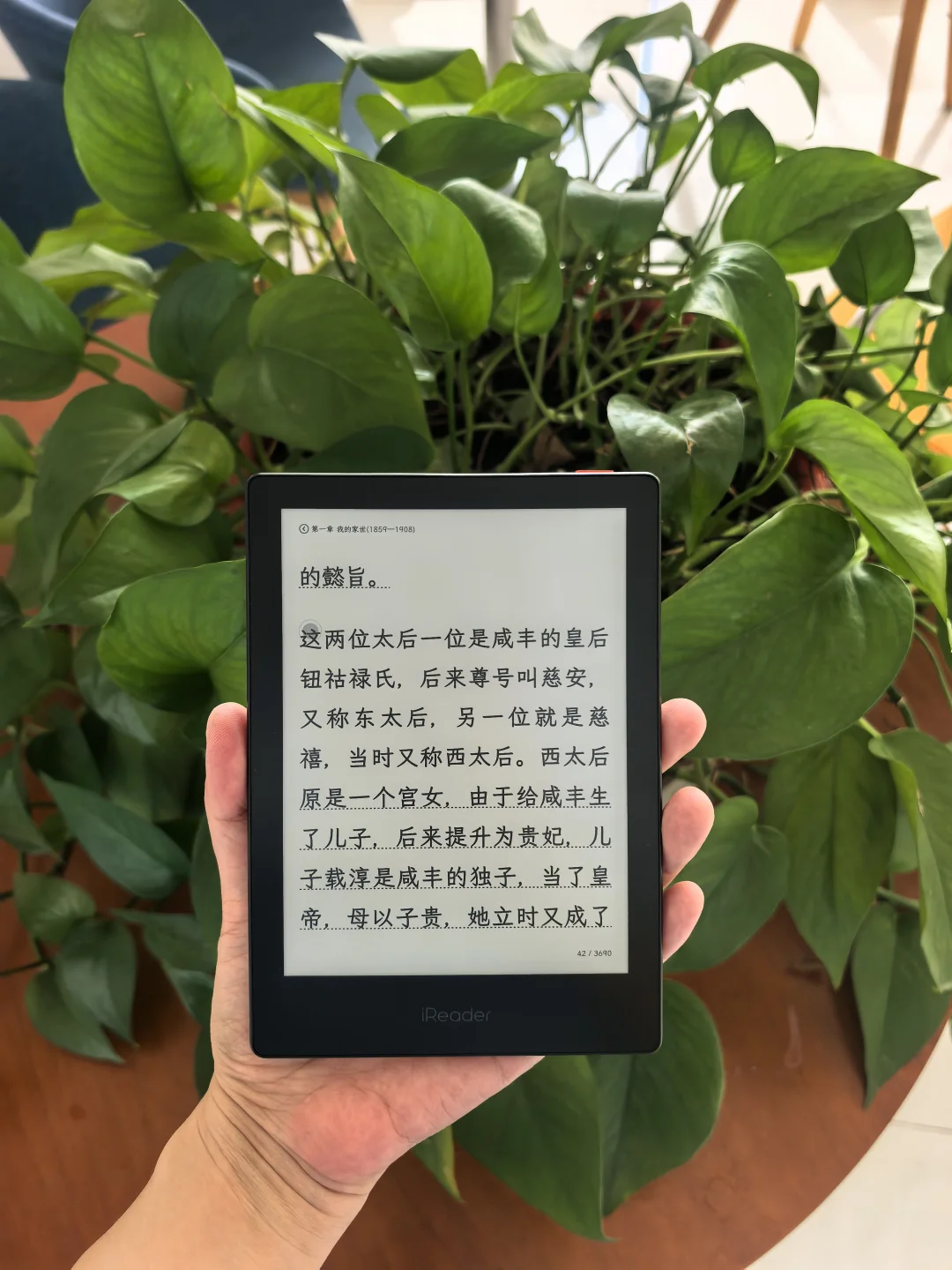 Neo3，Neo2，Neo2pro有啥问题，问吧