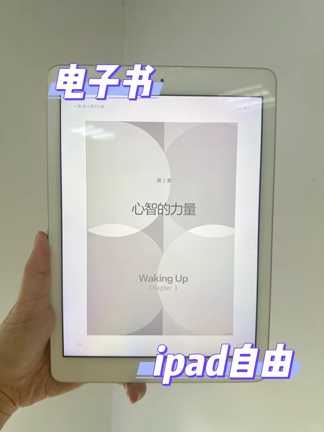 电子书自由真的存在！打工人实现读书自由