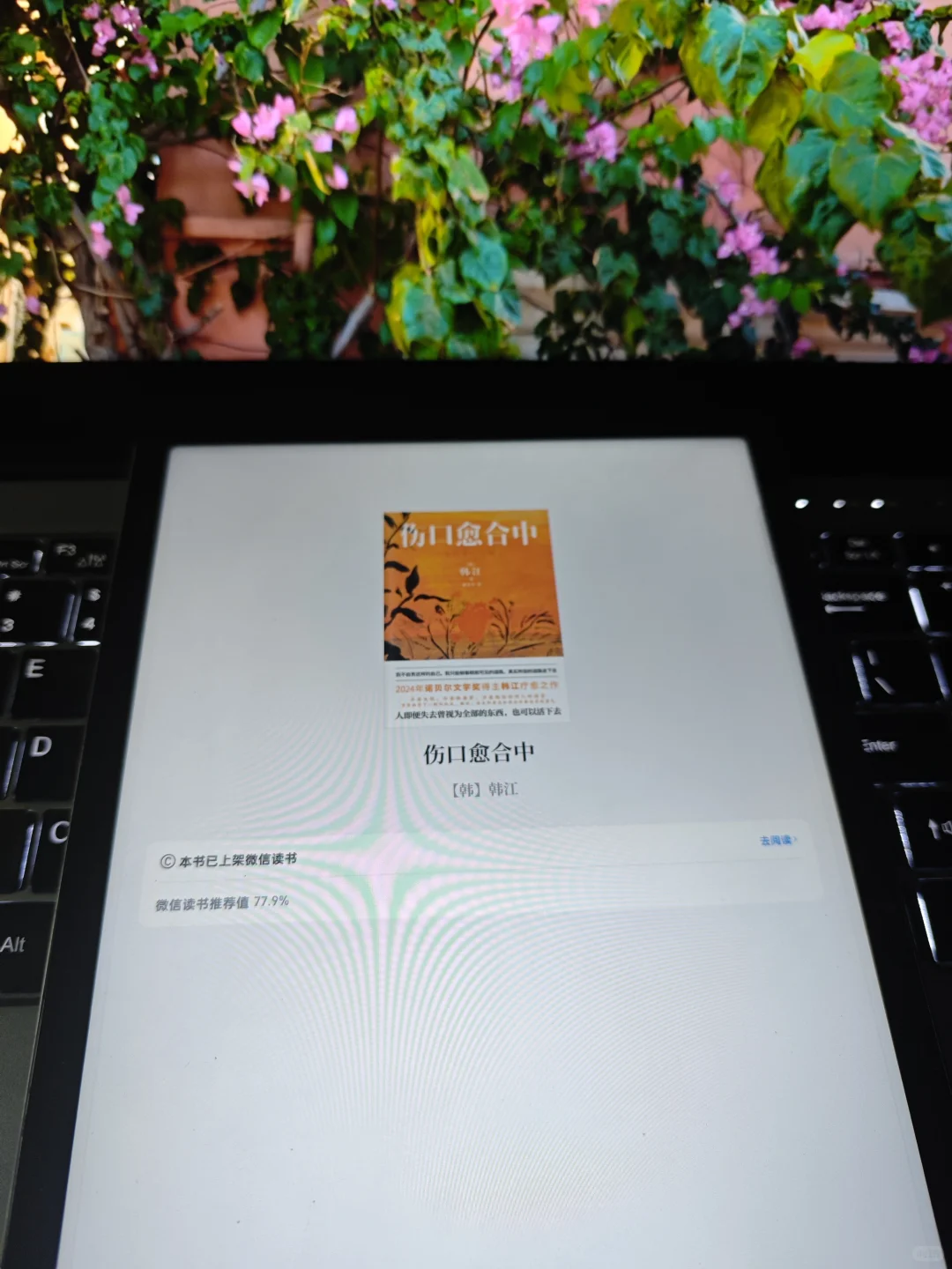 📢 2025年了！谁还没实现电子书自由啊？
