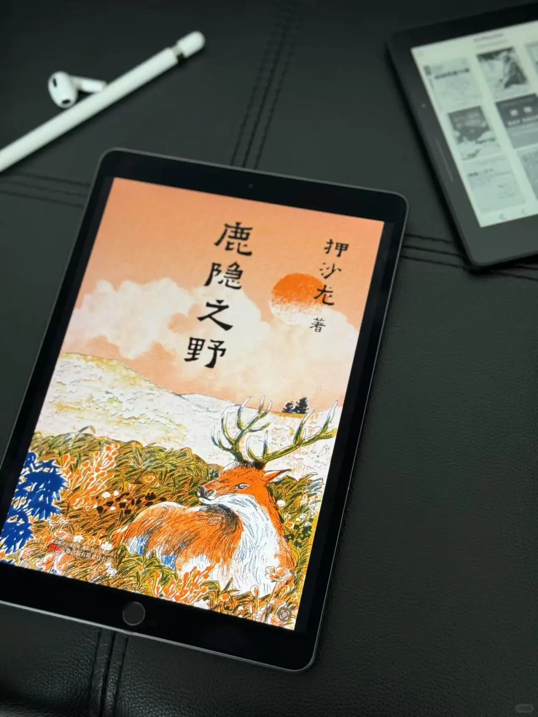 我看谁2025年还没有实现电子书自由呢