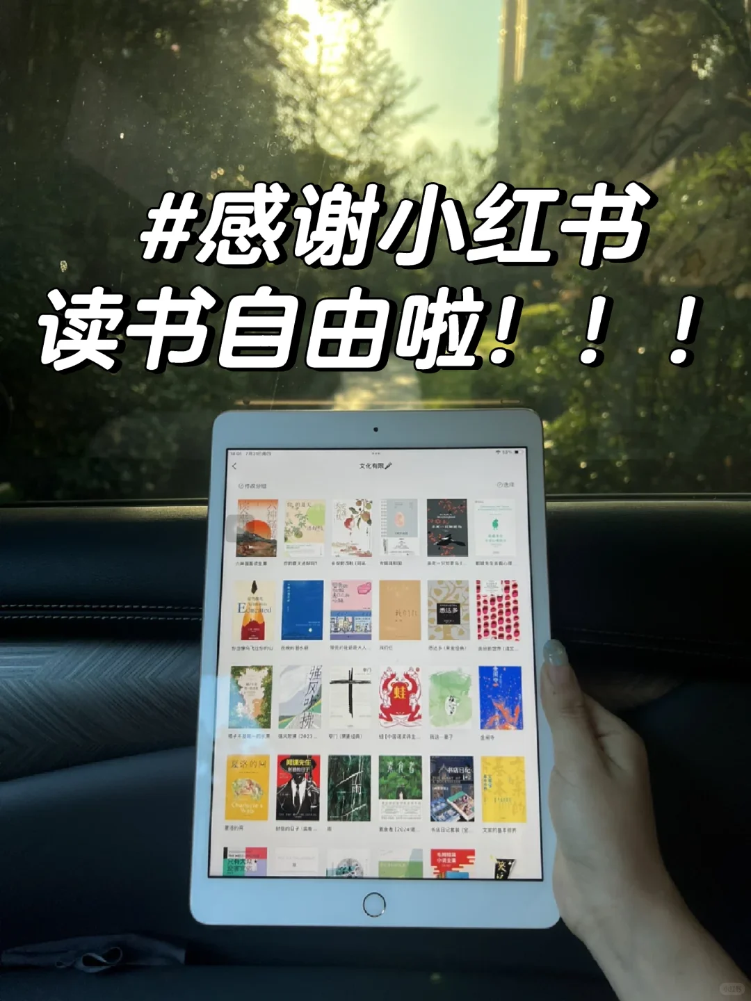 😭感谢小红书！实现了经典名著电子书自由