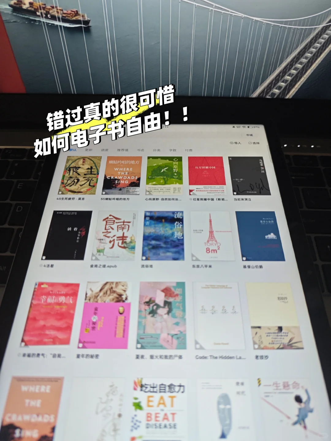 电子书自由谁懂啊！终于不用为买书肉疼了！