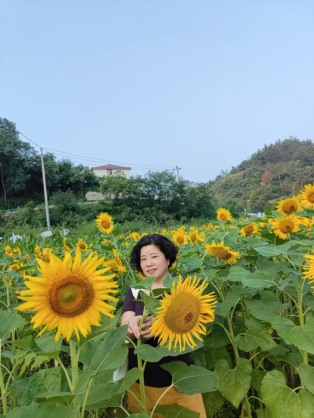 多读书，真的可以拥有很多“自由”！