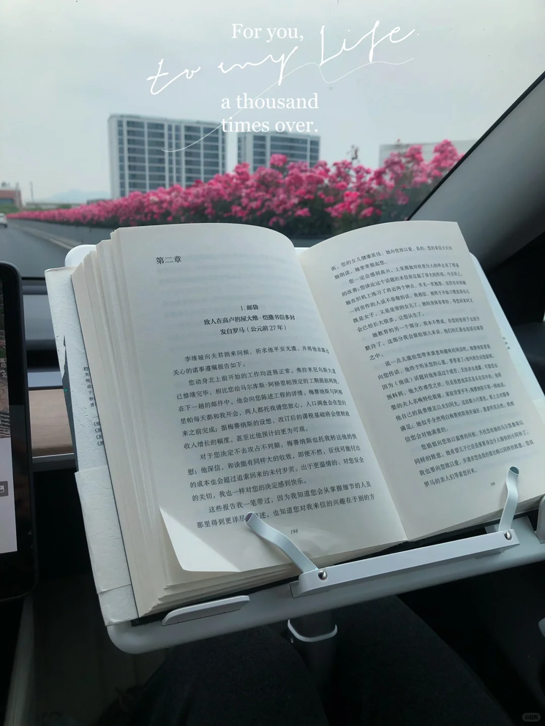 车上看书必备读书架|喜欢带着书自驾的请入！