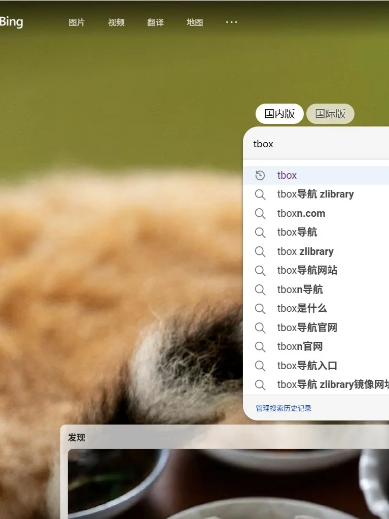 不用梯子的Zlibrary