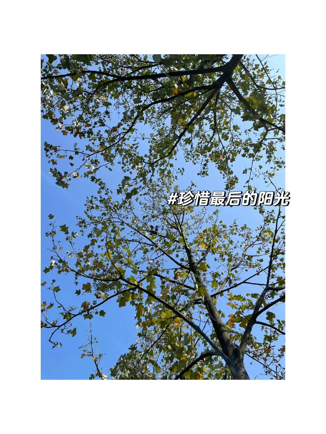 苏老师平凡的一天