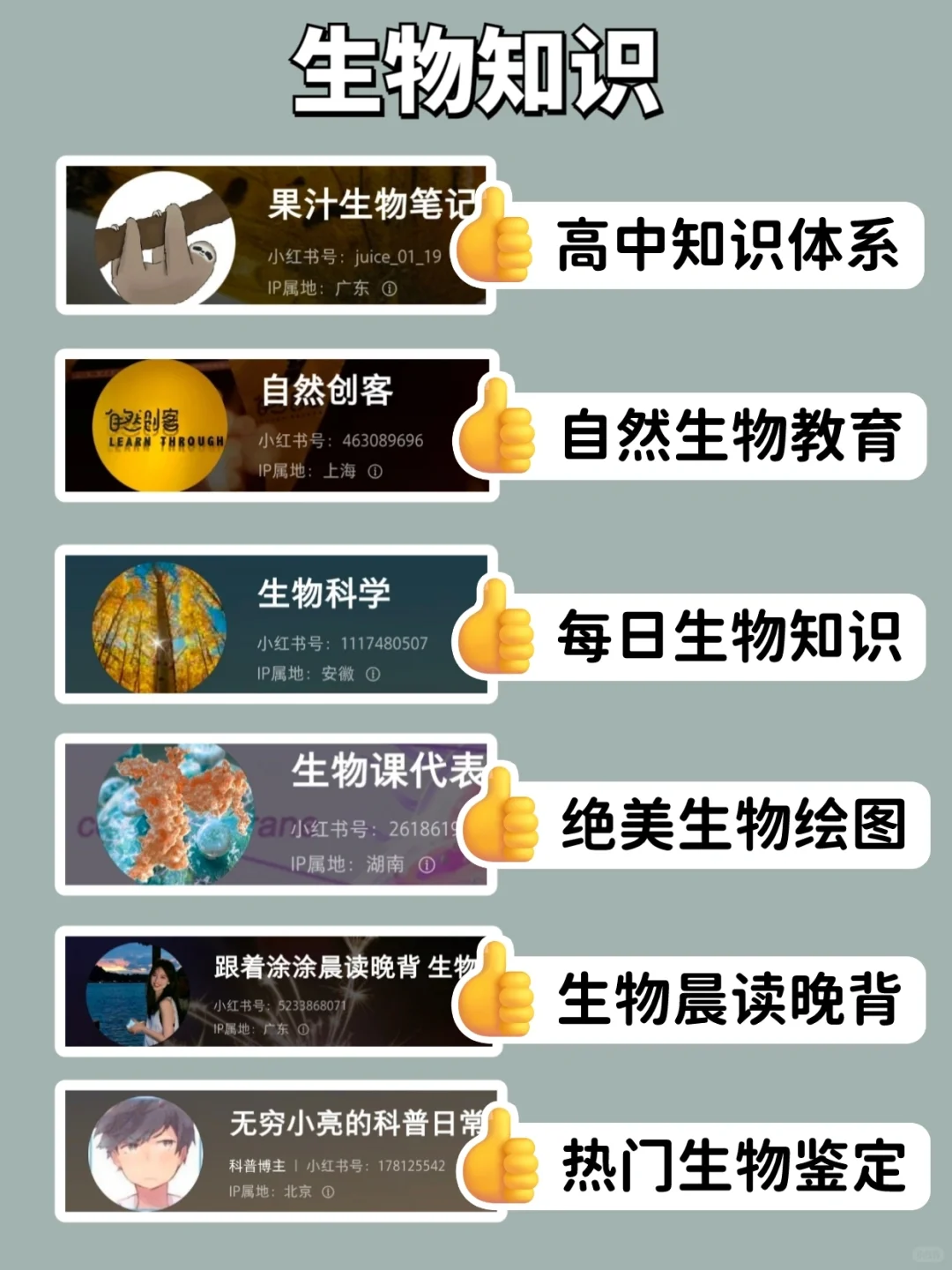 小红书才是真正的学习神器‼️48位宝藏博主