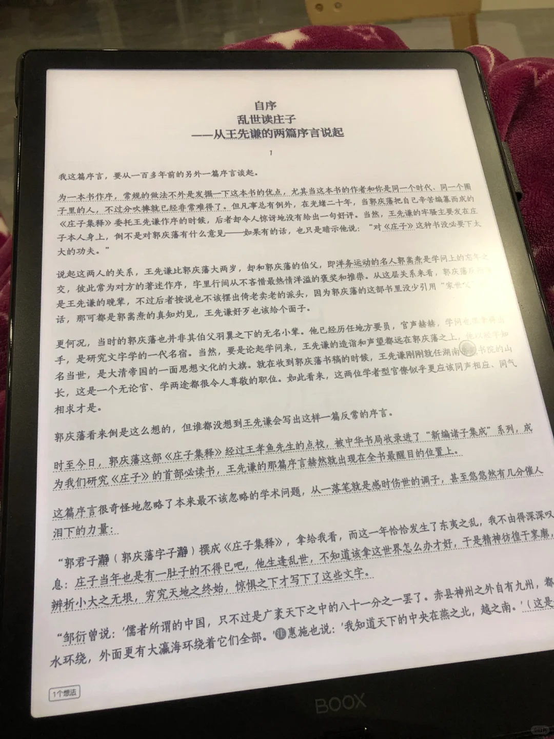 重新用大墨水屏看书