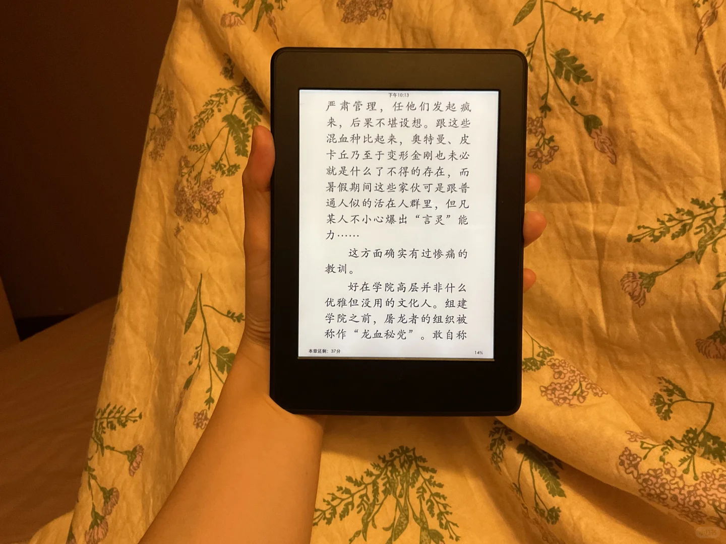 置换阅读器求推荐