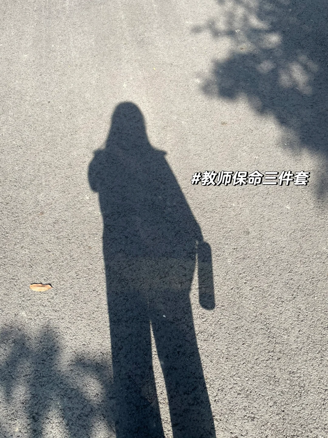 苏老师平凡的一天