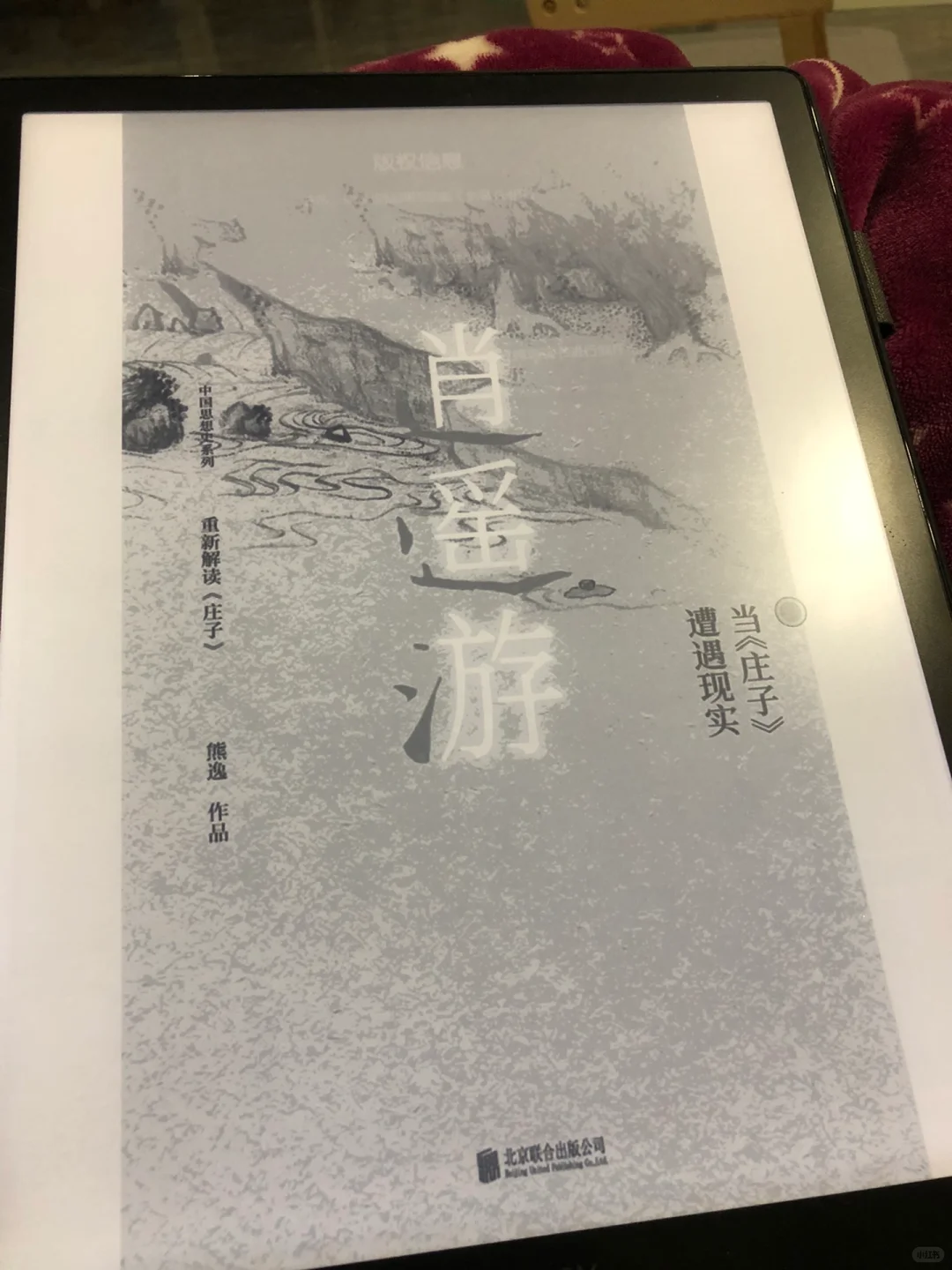 重新用大墨水屏看书