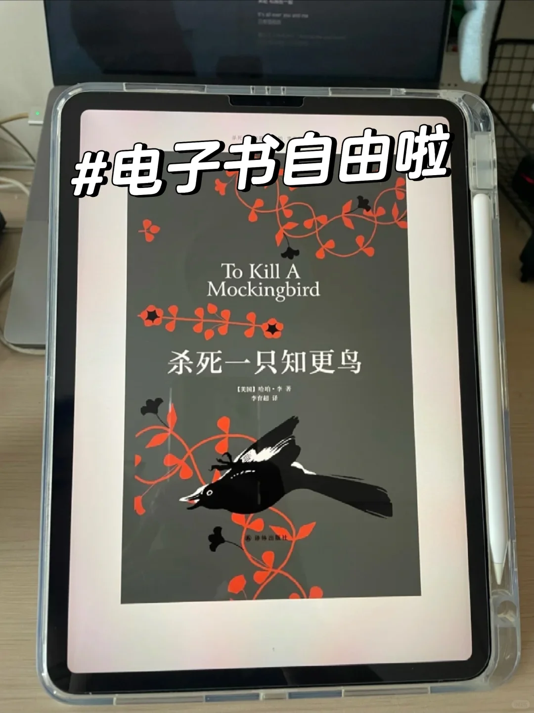 我勒个豆！电子书自由啦！