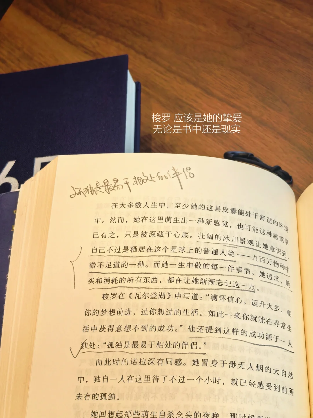 独处、阅读、散步，好好生活比什么都重要