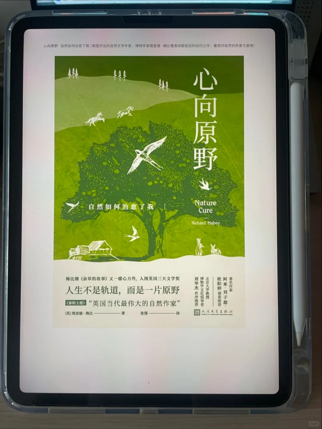 我勒个豆！电子书自由啦！
