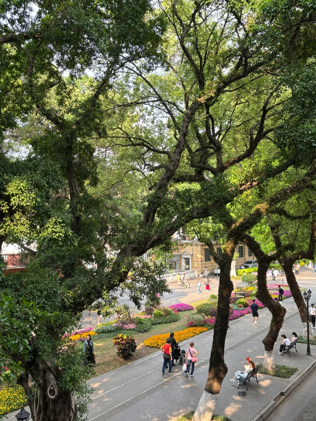 📖☕️｜享受高质量的独处是非常重要的