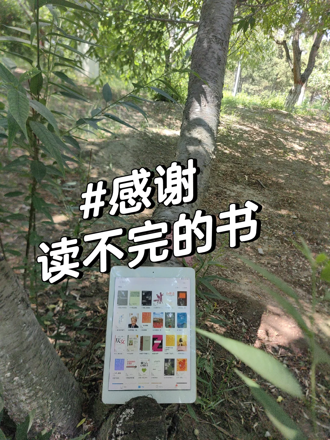 读书自由啦啊啊啊！