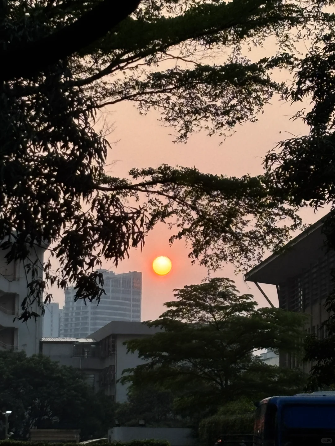 📖☕️｜享受高质量的独处是非常重要的