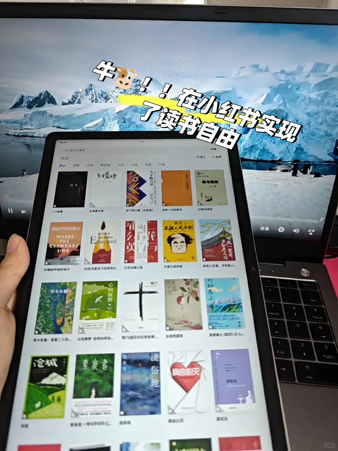 终于实现电子书自由了！谁懂啊家人们！😭