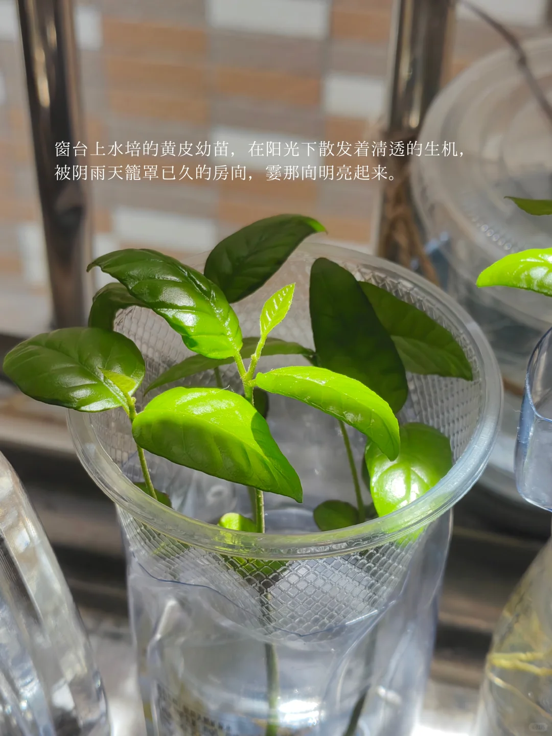 我的解压方式：阅读、微醺、放空、不联系