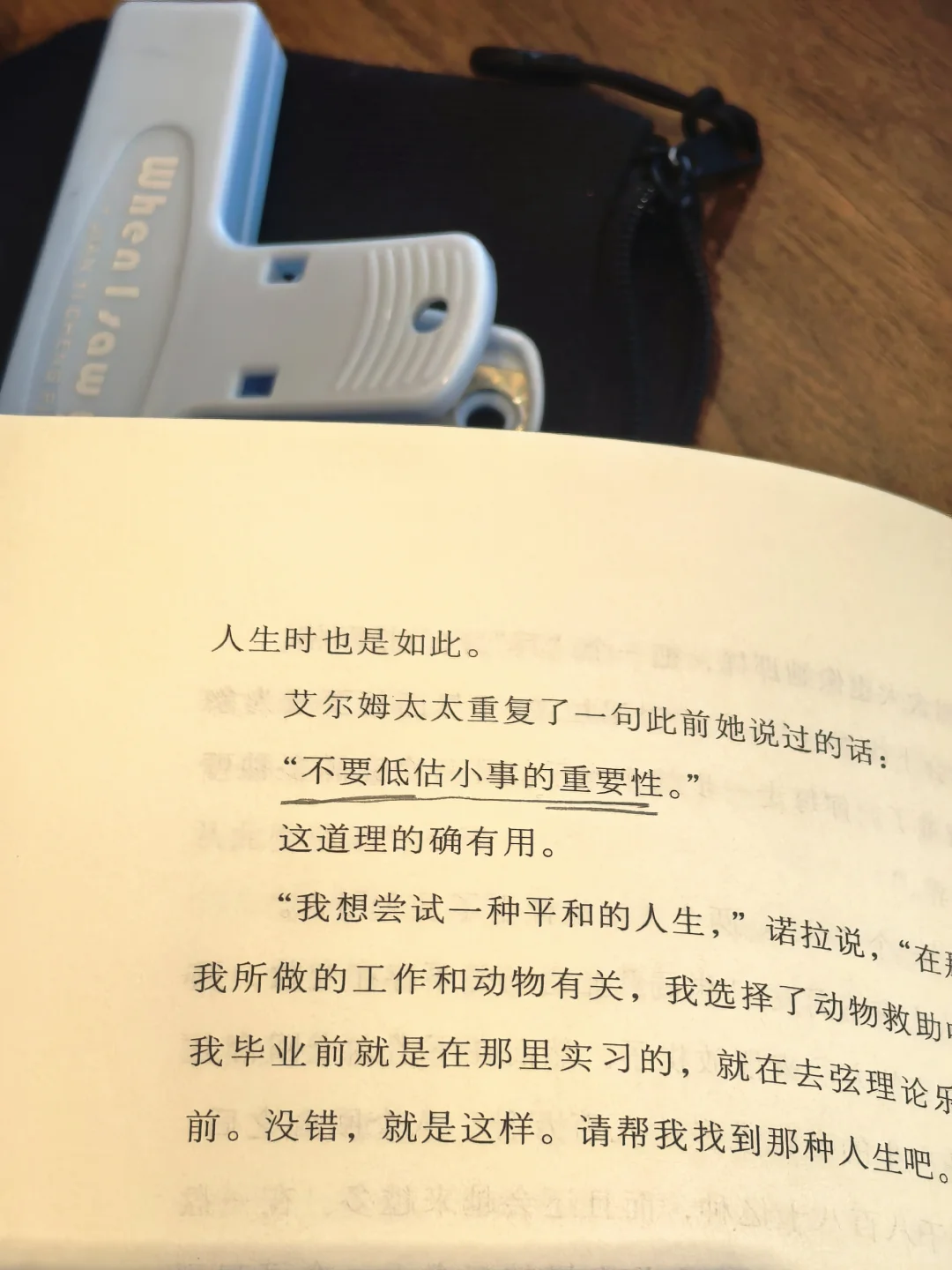 独处、阅读、散步，好好生活比什么都重要