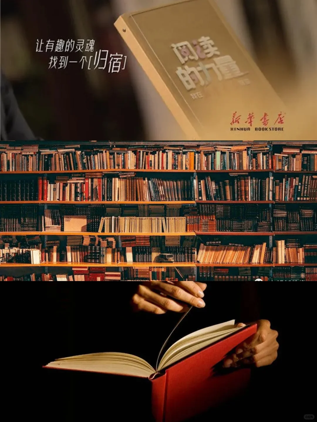 阅读📖与伟大的灵魂对话🍀