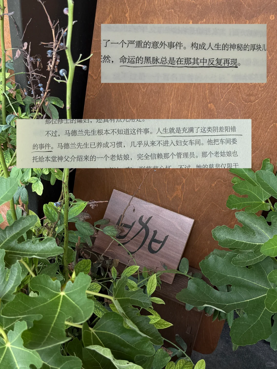 “当我越来越喜欢安静和沉默。”