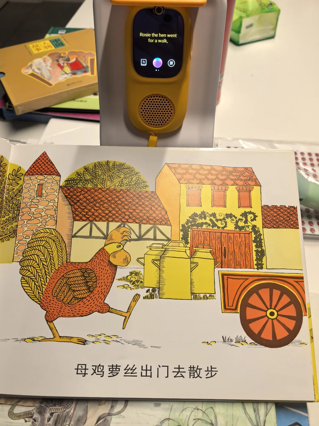 今晚是牛听听的狂热粉丝