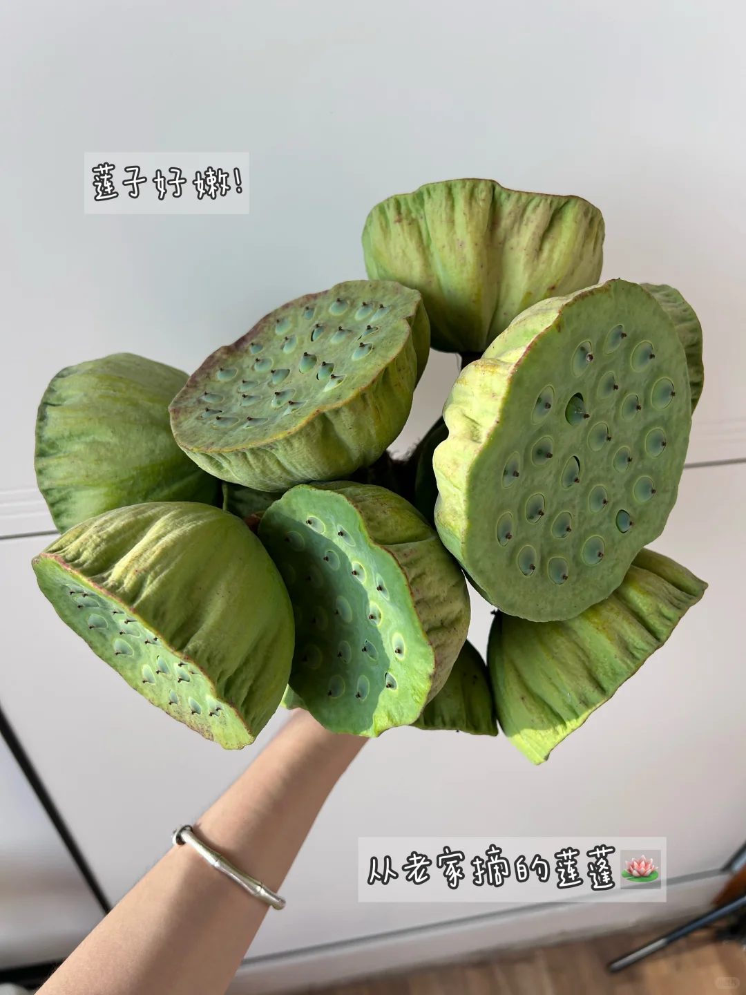 00后打工人〡掌阅Tango上手一周体验