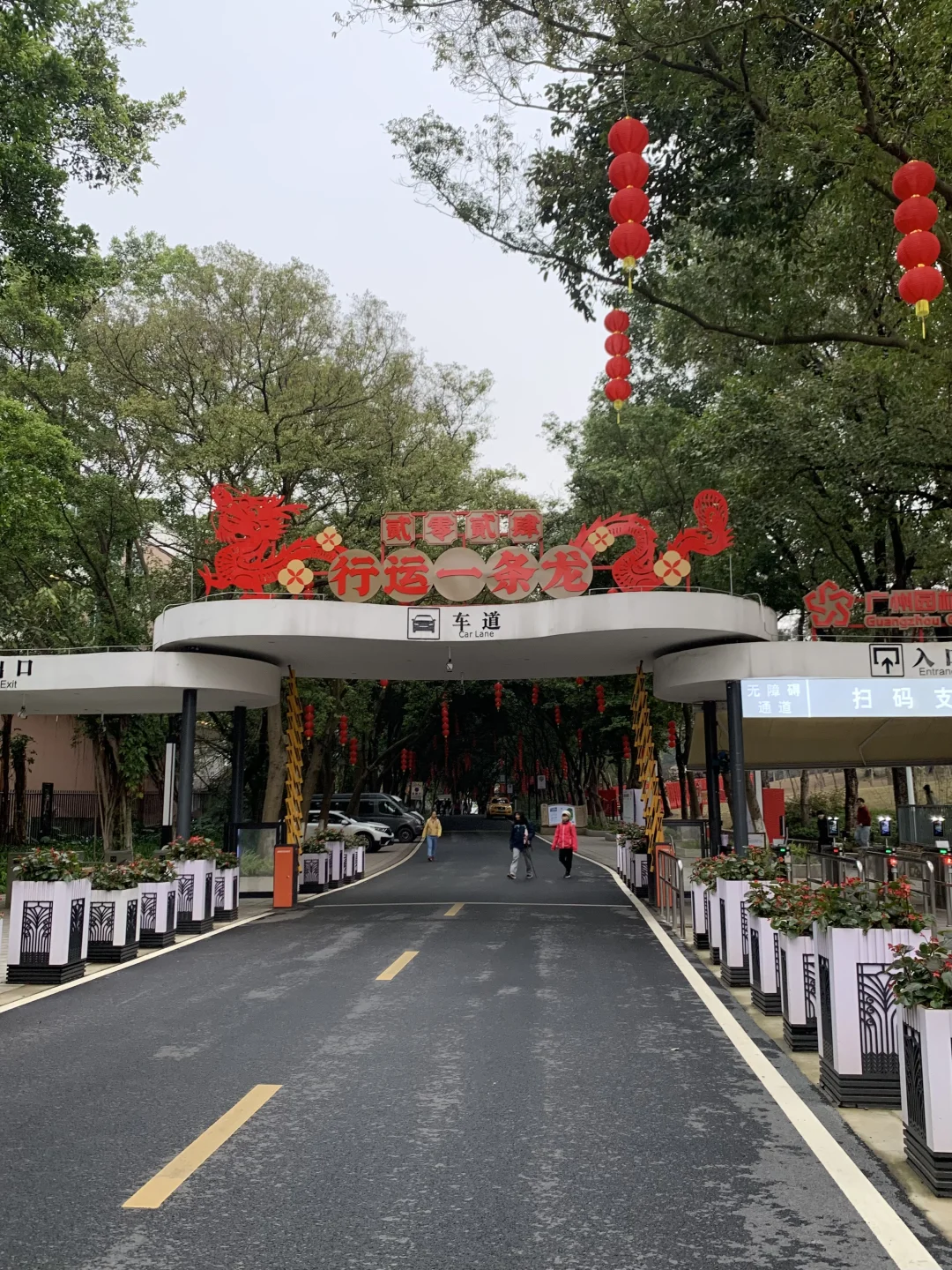 有多少人看过《我与地坛》